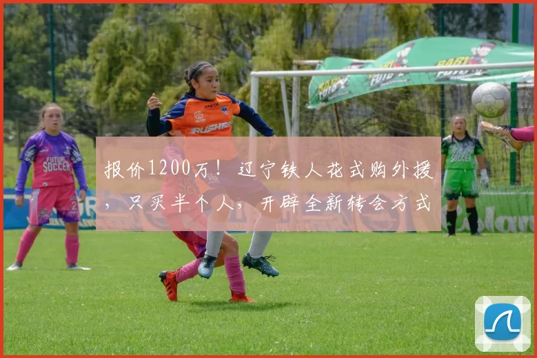 报价1200万！辽宁铁人花式购外援，只买半个人，开辟全新转会方式_布雷诺·洛佩斯_福塔雷萨_巴西
