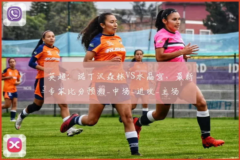 英超:诺丁汉森林VS水晶宫,最新专家比分预测_中场_进攻_主场