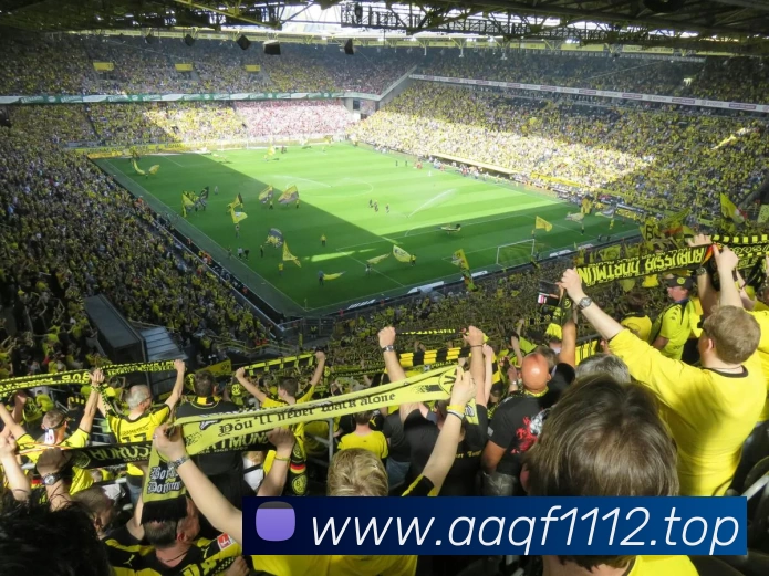 开云(中国)Kaiyun·官方网站 - 登录入口服务体系